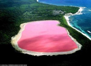 Un lago rosa nel parco nazionale di Cape Arid in Australia