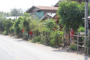 Fearful: “fantasma della vedova” semina panico in villaggio Thailandese