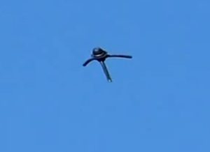 California: avvistato misterioso oggetto sulla San Bernardino County, Ufo o Drone?