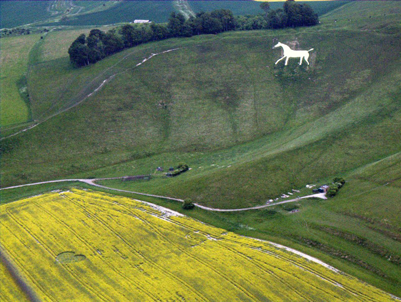 Crop Circle: un nuovo pittogramma compare a Cherhill, Wiltshire