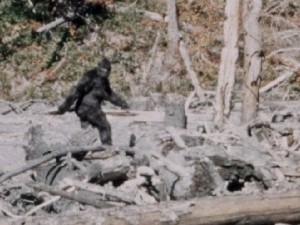 Incredibile avvistamento Bigfoot