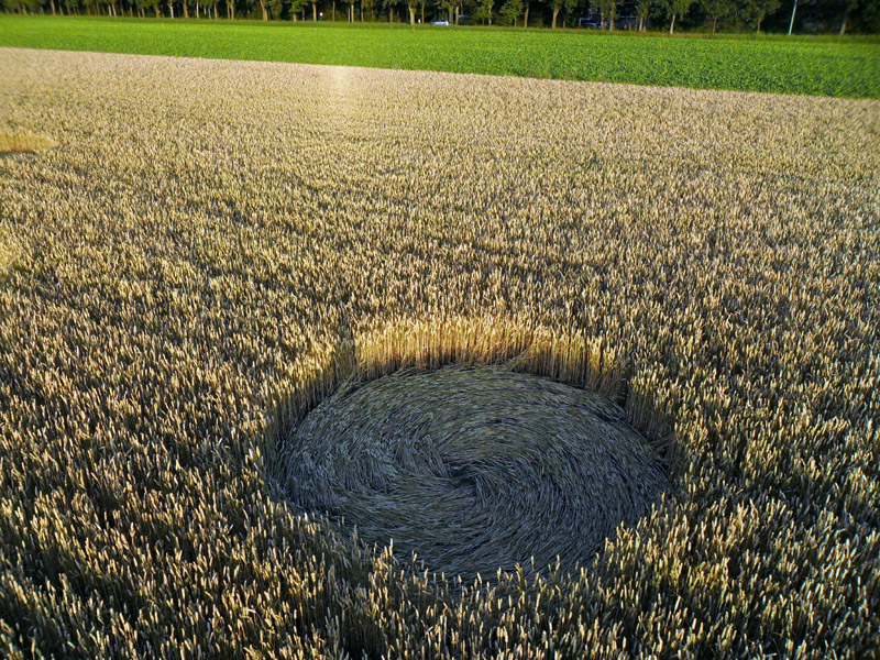 Olanda: compare un Crop Circle nei campi di Stadskanaal, Groningen