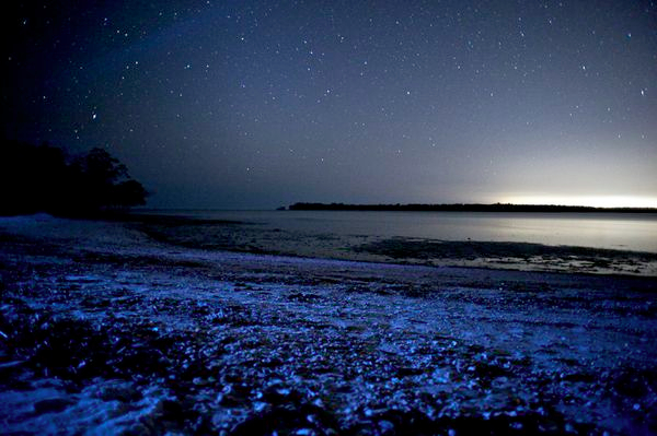 Alle Maldive la spiaggia si illumina di notte