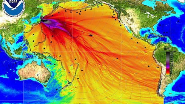 Fukushima il disastro del mare tre anni dopo