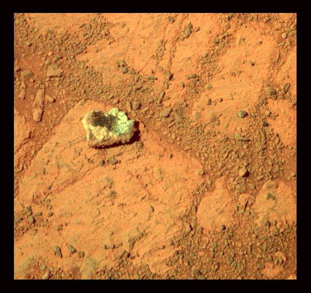 Scienziato fa causa alla NASA: "Su Marte c'e' vita!"