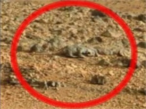 Tracce di una civiltà estinta su Marte?
