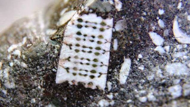 Scoperta in Russia pietra con un microchip di 250 milioni di anni