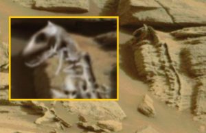 Fossile di rettile su Marte